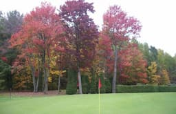 Course Image 1