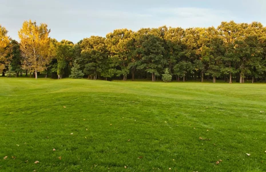 St. Boniface Golf Club — photo 2