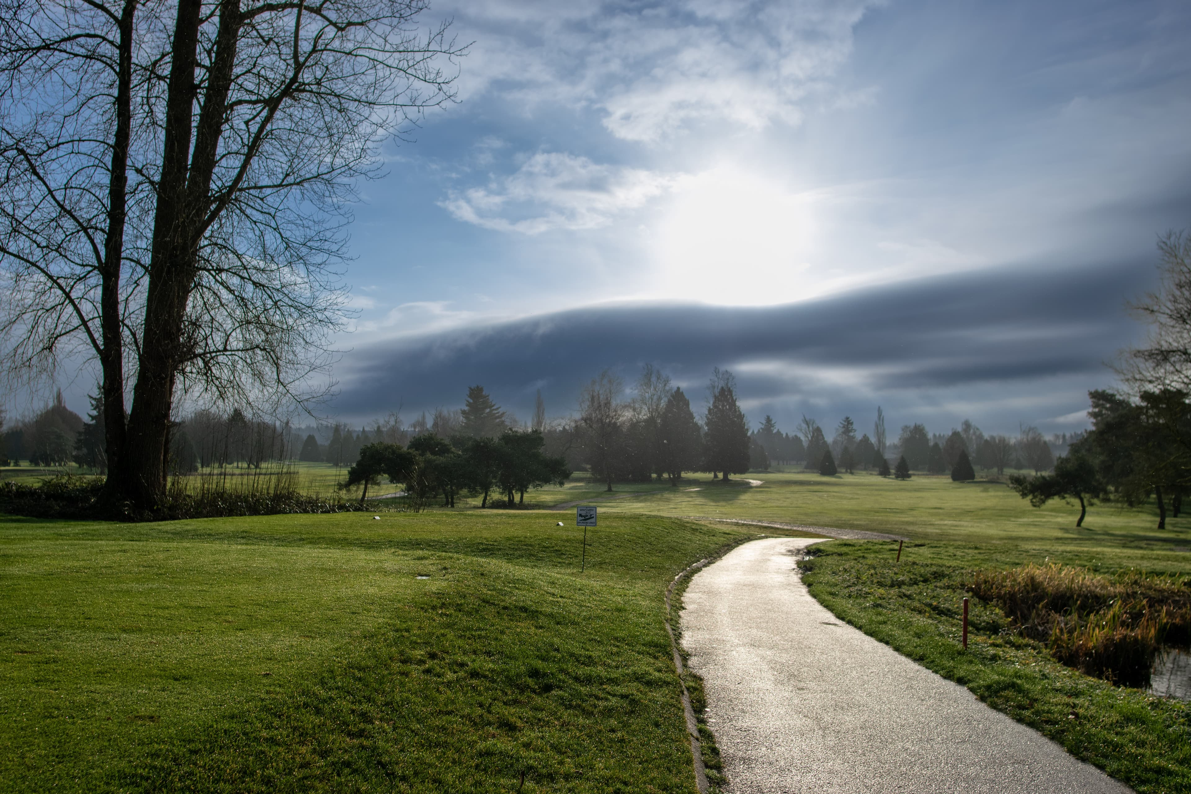 Surrey Golf Club — photo 4