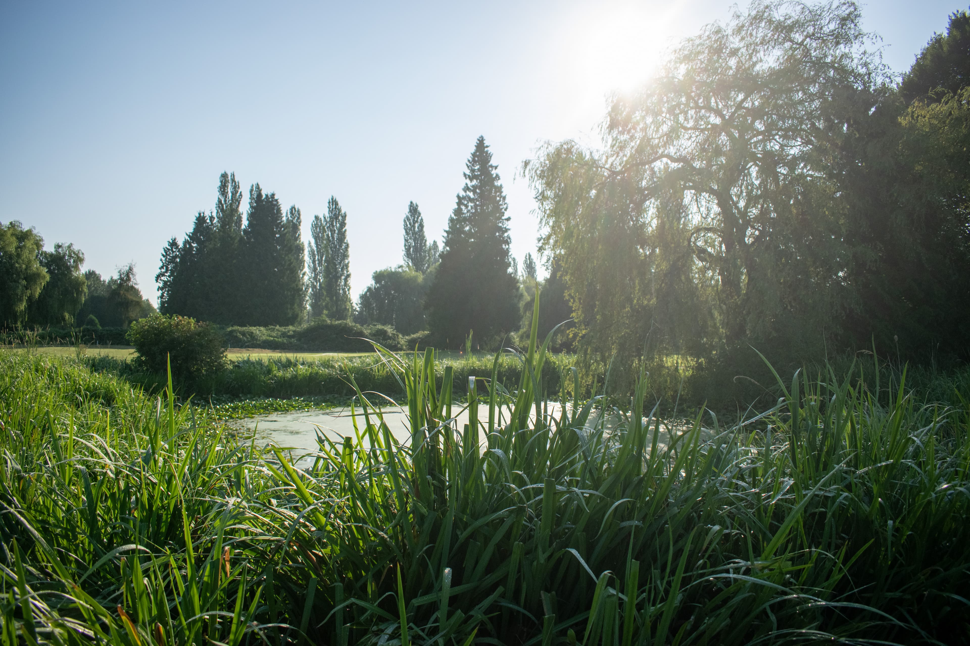 Surrey Golf Club — photo 5