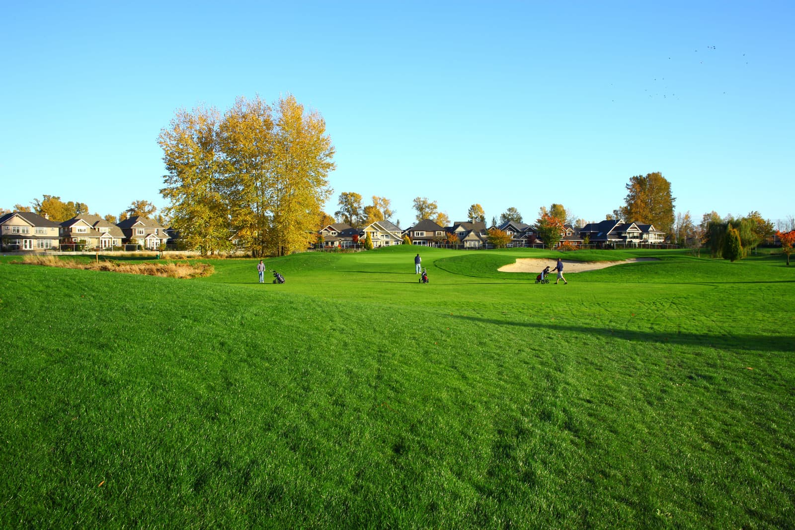The Links at Hampton Cove — photo 3