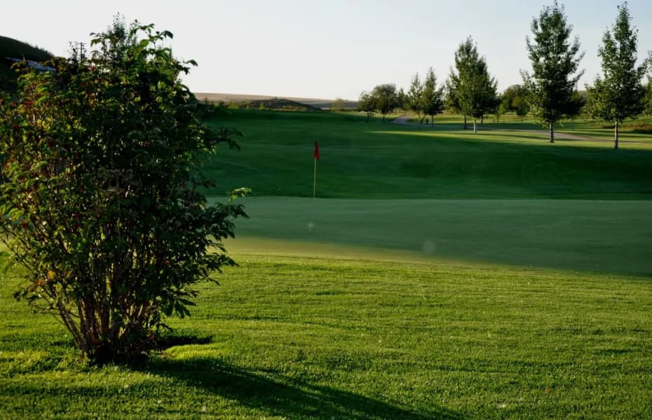 Three Hills Golf Club — photo 2