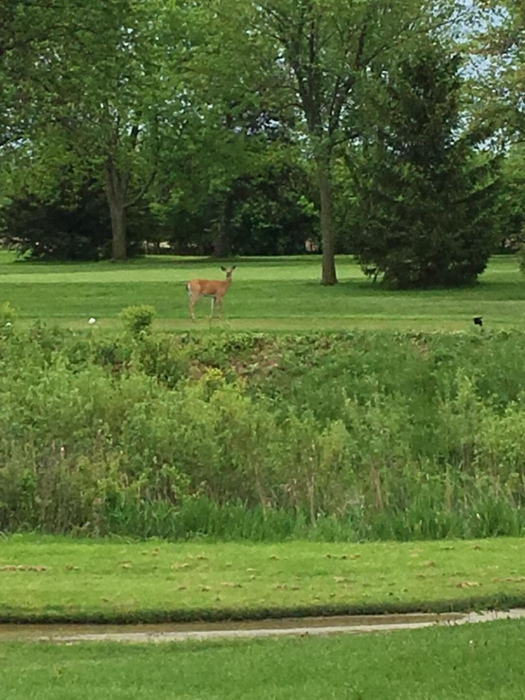 Trafalgar Golf & Country Club — photo 2