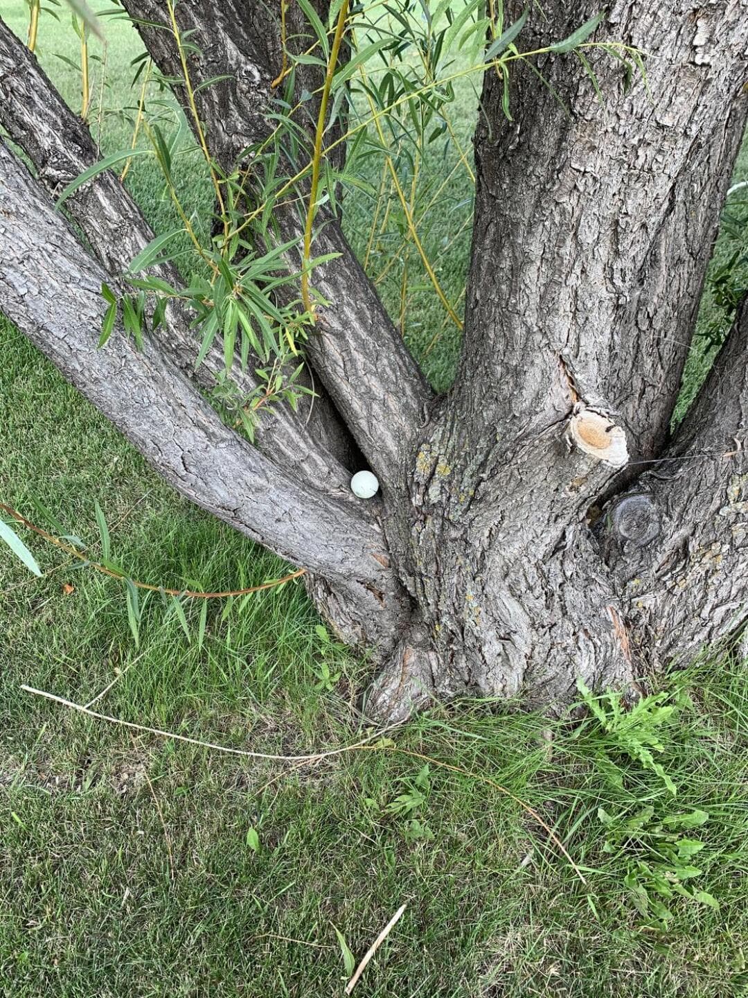 Transcona Golf Club — photo 2