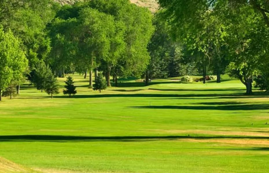 Vernon Golf & Country Club — photo 3
