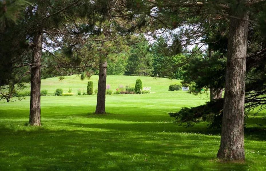 Victoriaville (Club de golf) — photo 2