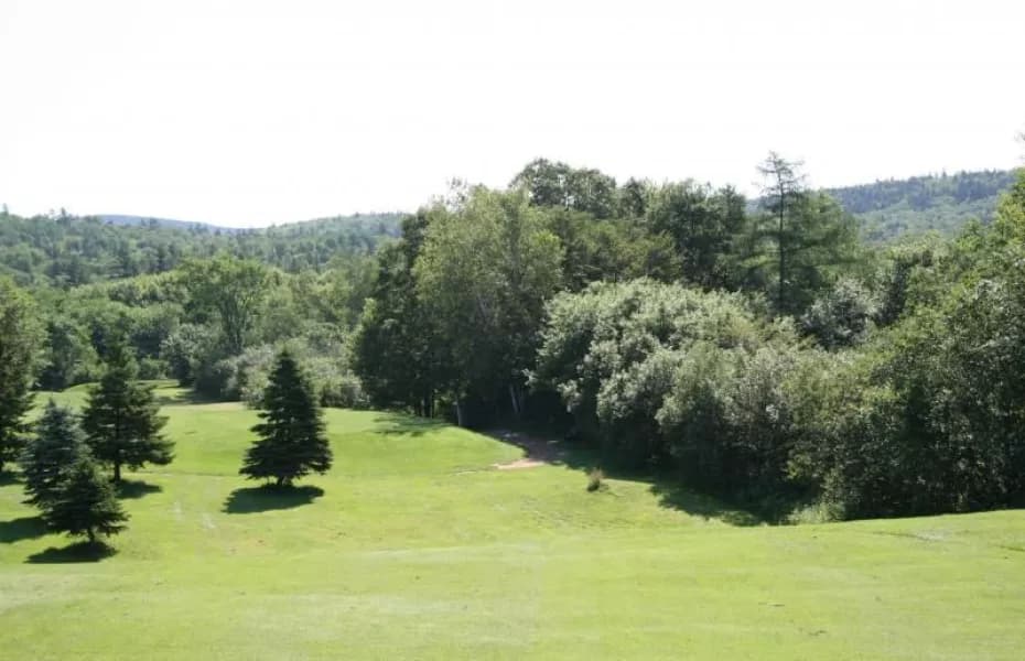 Welsford Golf Club — photo 3