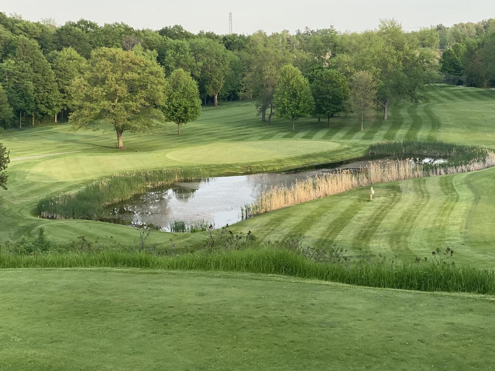 Whitevale Golf Club — photo 2
