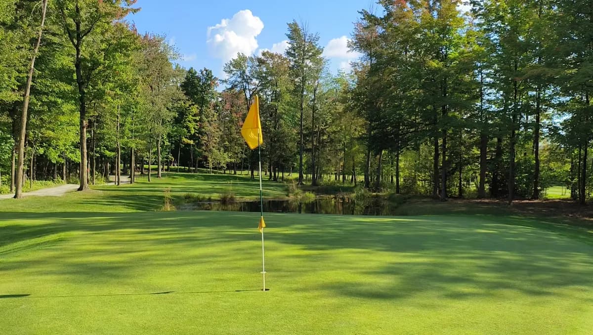 Club De Golf St-Hyacinthe — photo 4