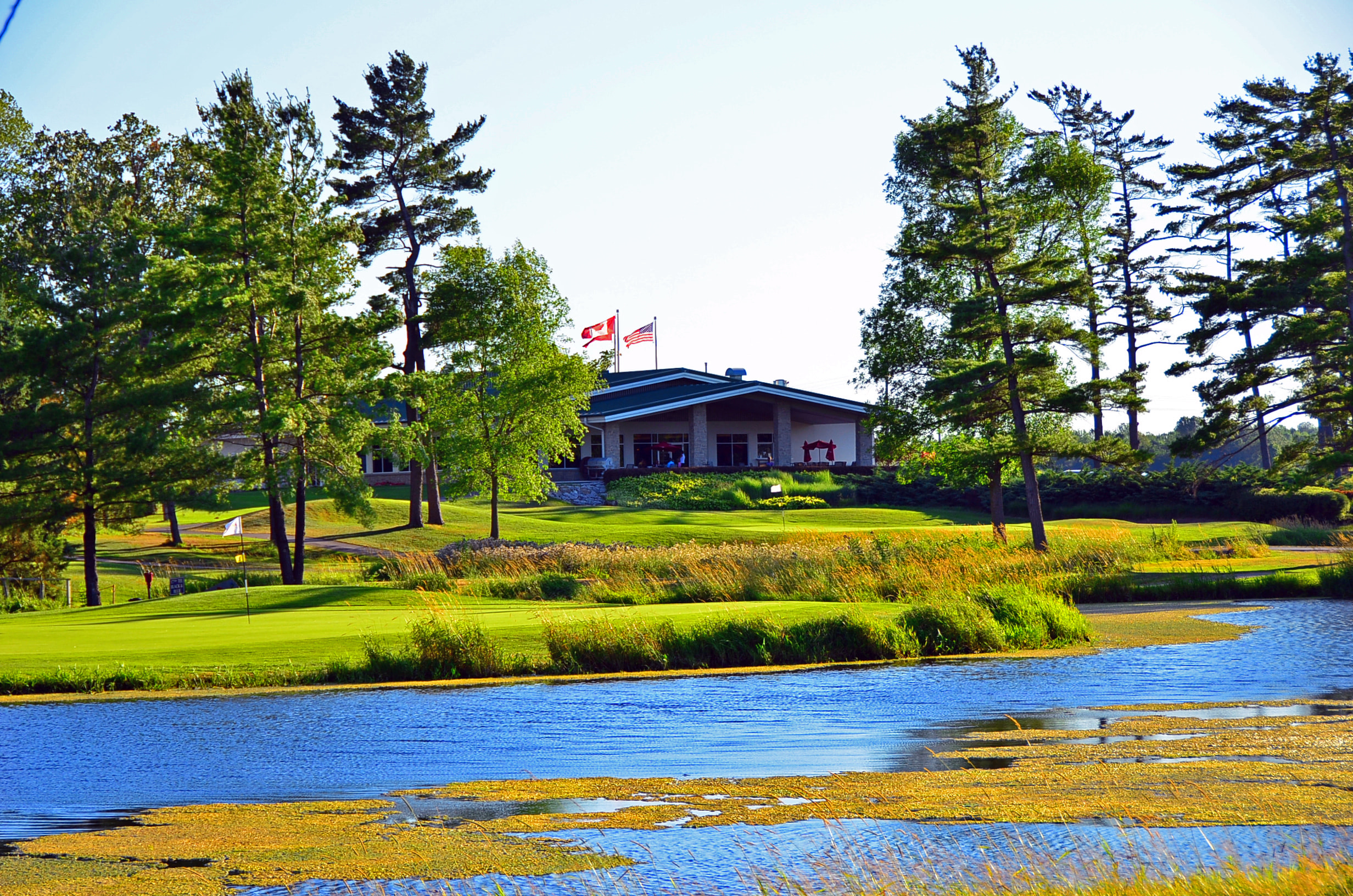 Century Pines Golf Club golf course