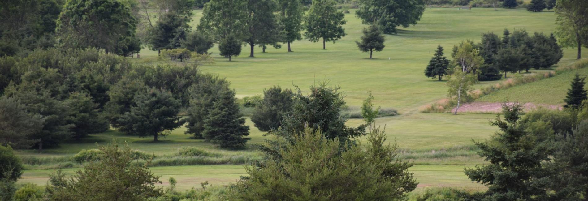 Brookfield Golf & Country Club golf course