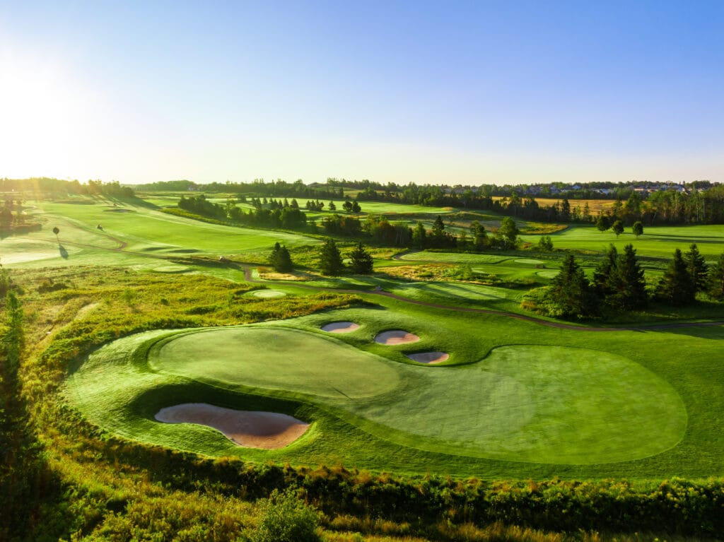 Fox Meadow Golf Course golf course