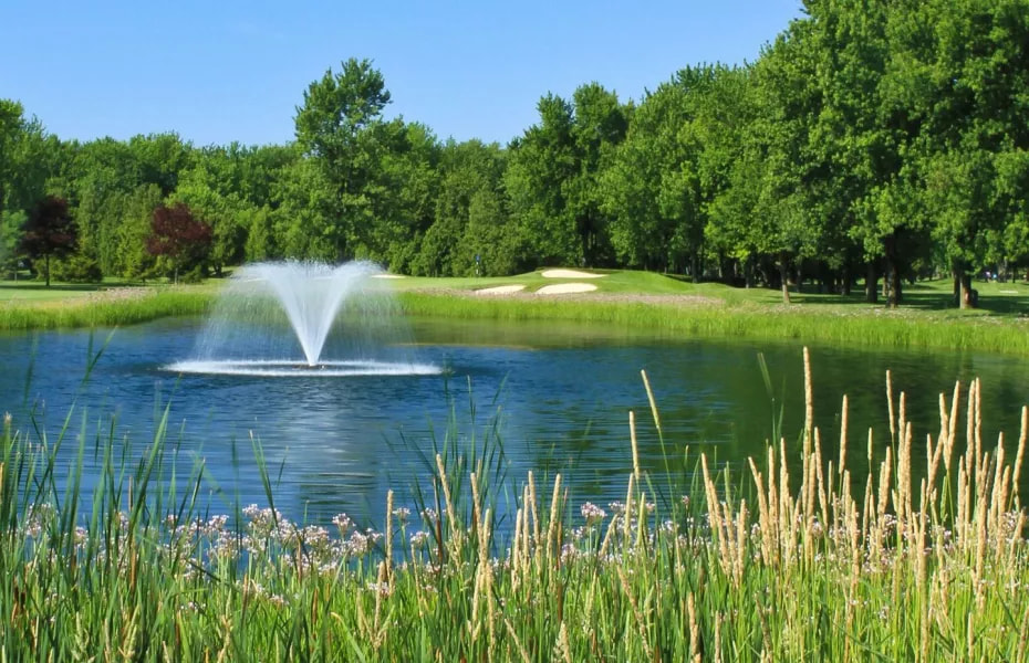 Beach Grove Golf & Country Club golf course