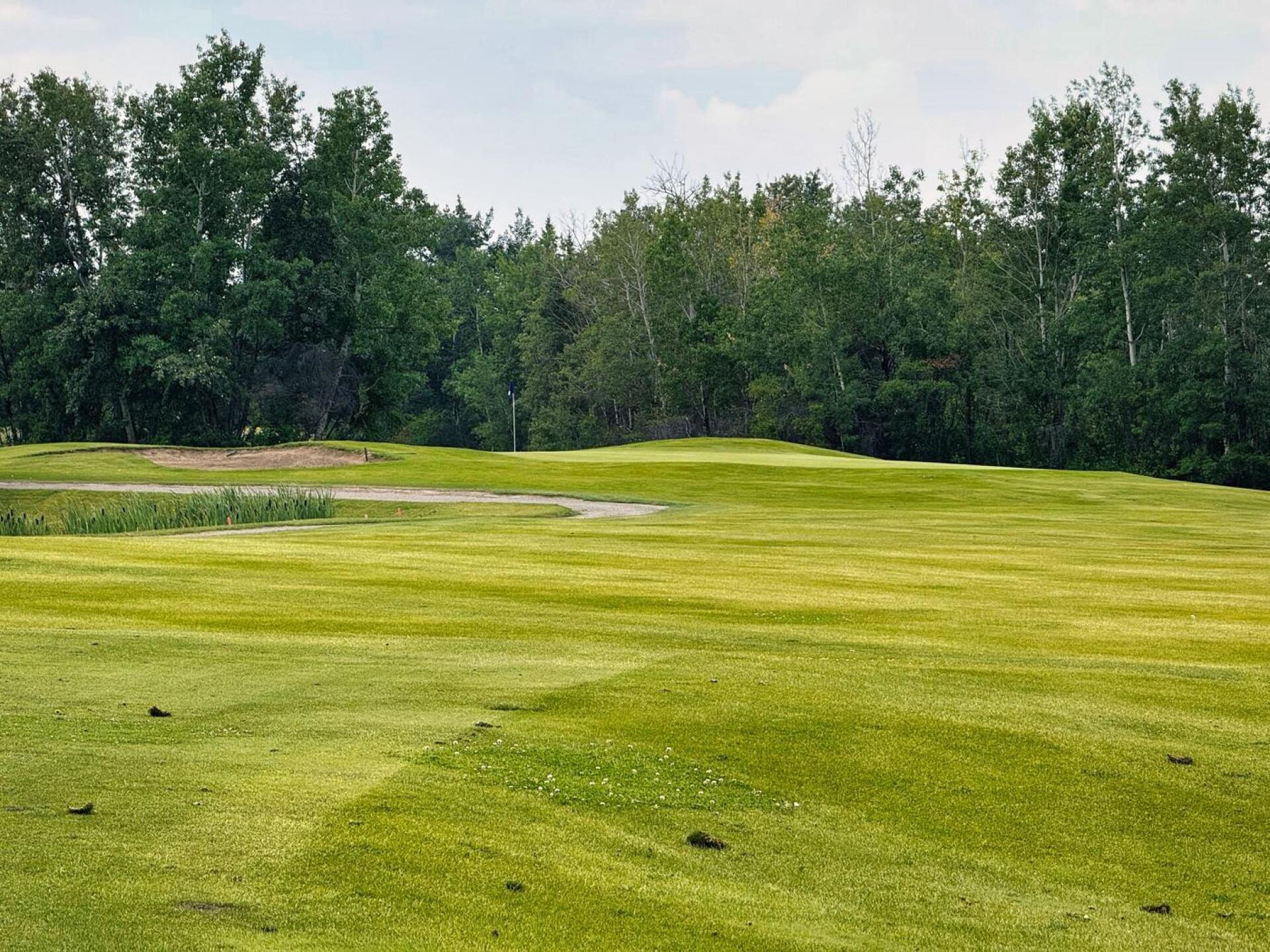 Bonnyville Golf & Country Club golf course