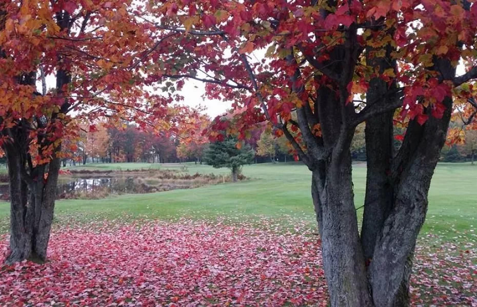 Champlain (Club de golf) golf course