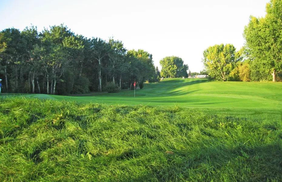 Cooke Municipal Golf Course golf course