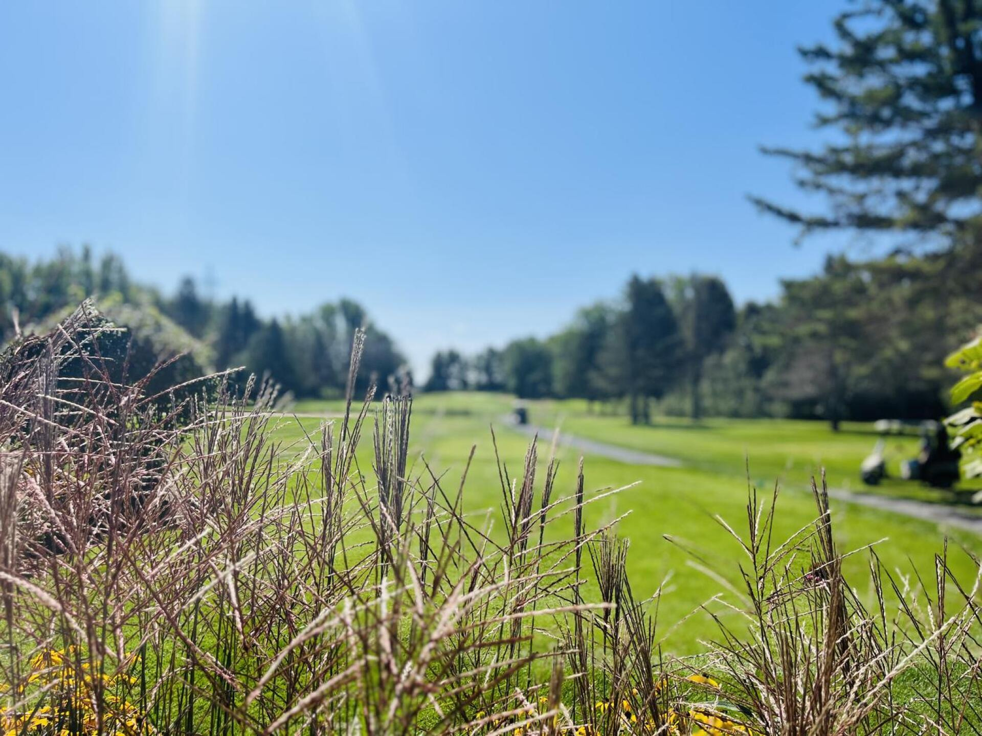 Farnham (Club de golf) golf course