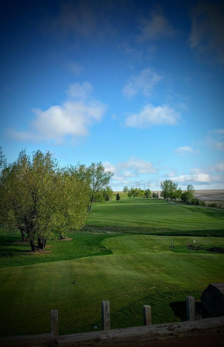 Flowing Springs Golf Greens golf course