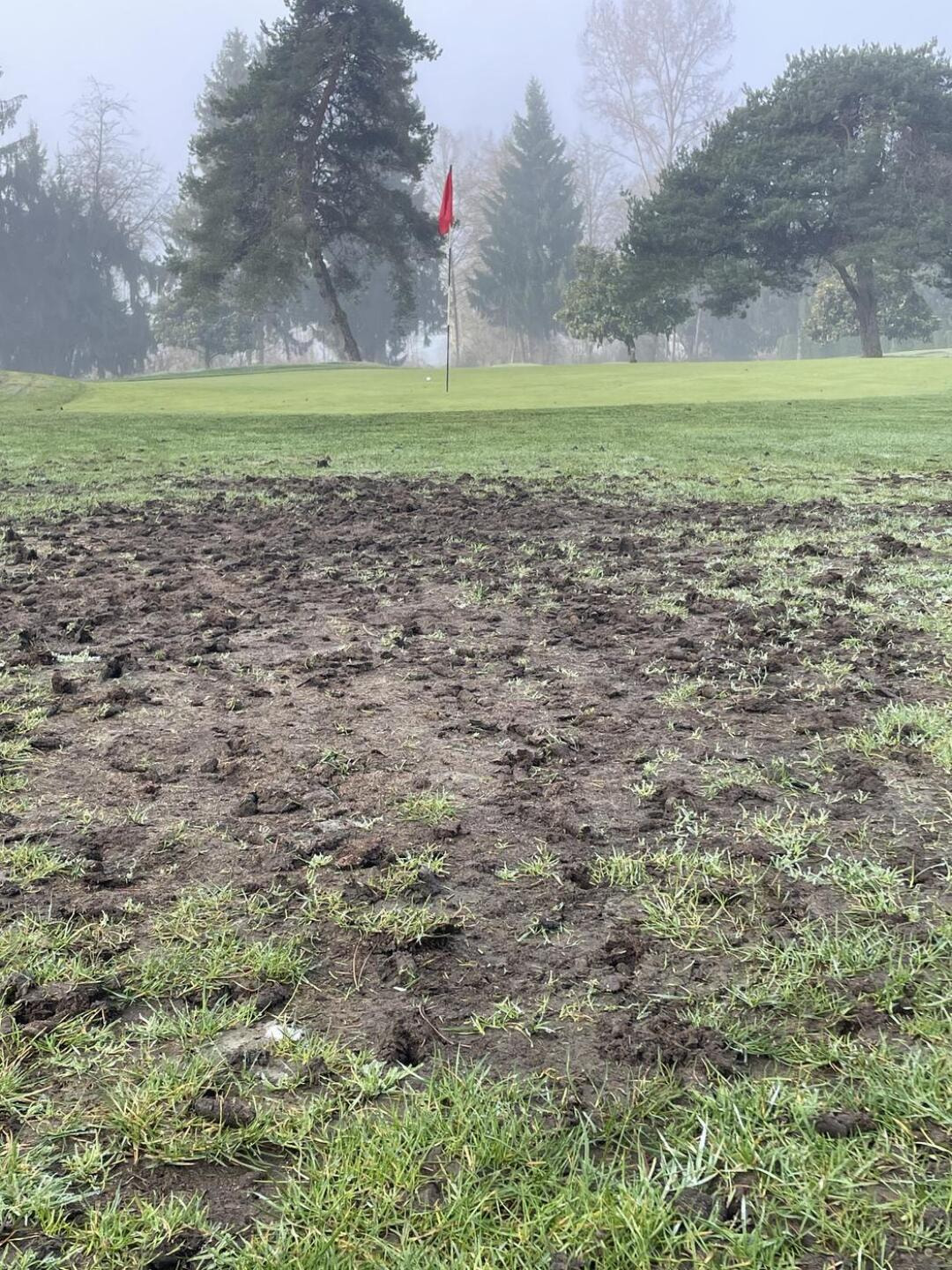 Fort Langley Golf Course golf course