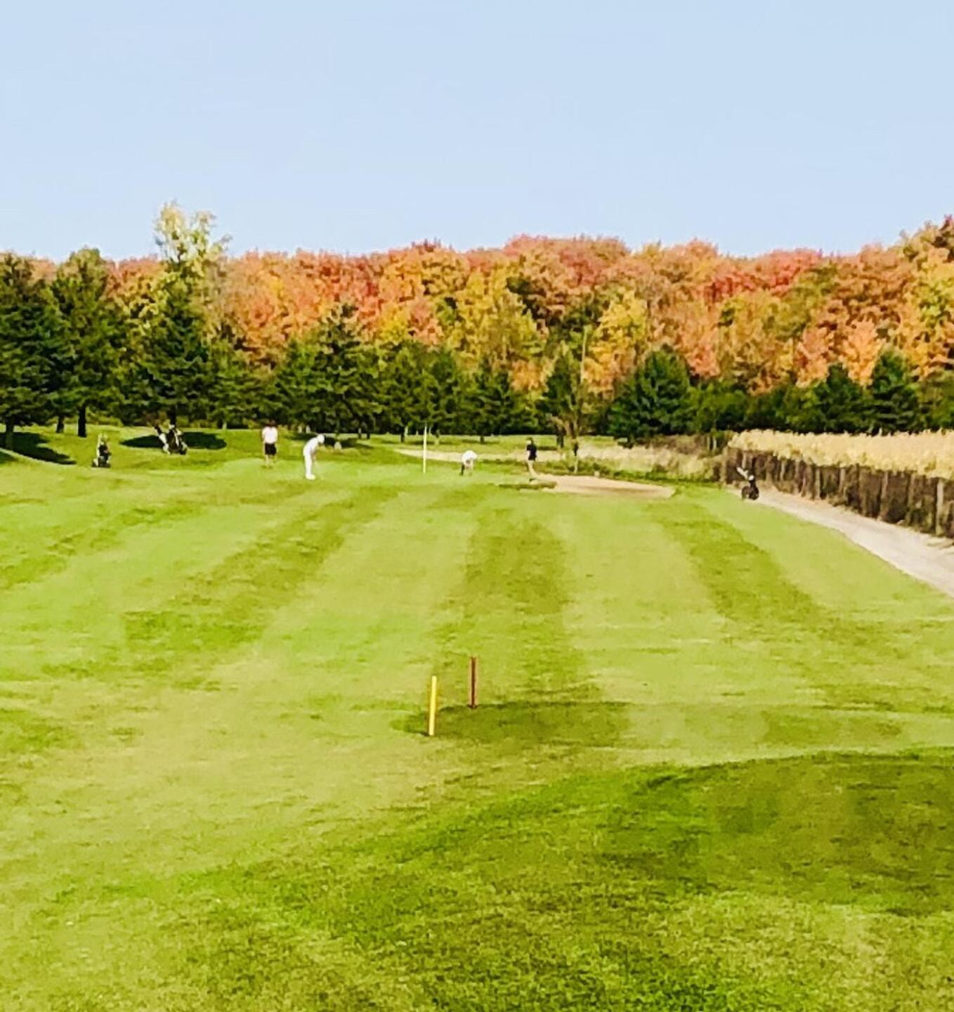 Fox Golf Club golf course