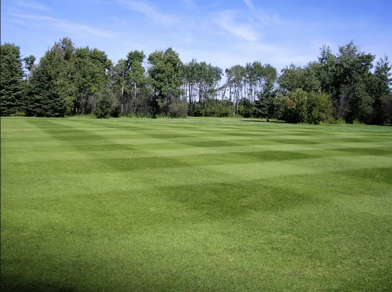 Gilbert Plains Country Club golf course