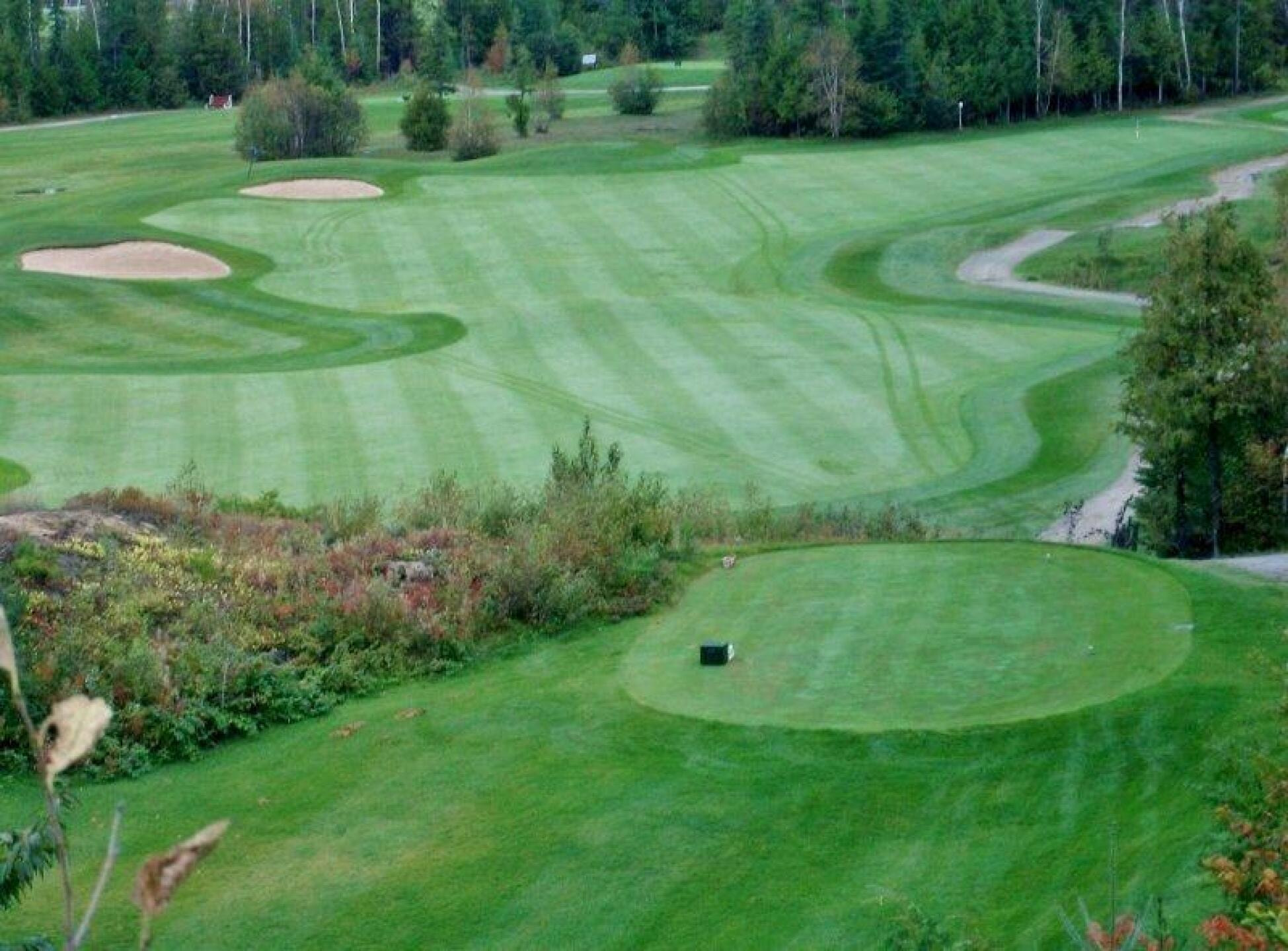 Hollinger Golf Club golf course