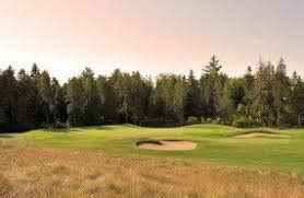 Homestead at Wolf Ridge  golf course