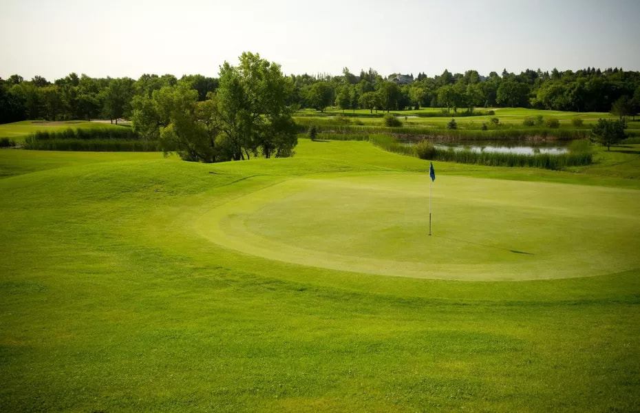 Minnewasta Golf & Country Club golf course