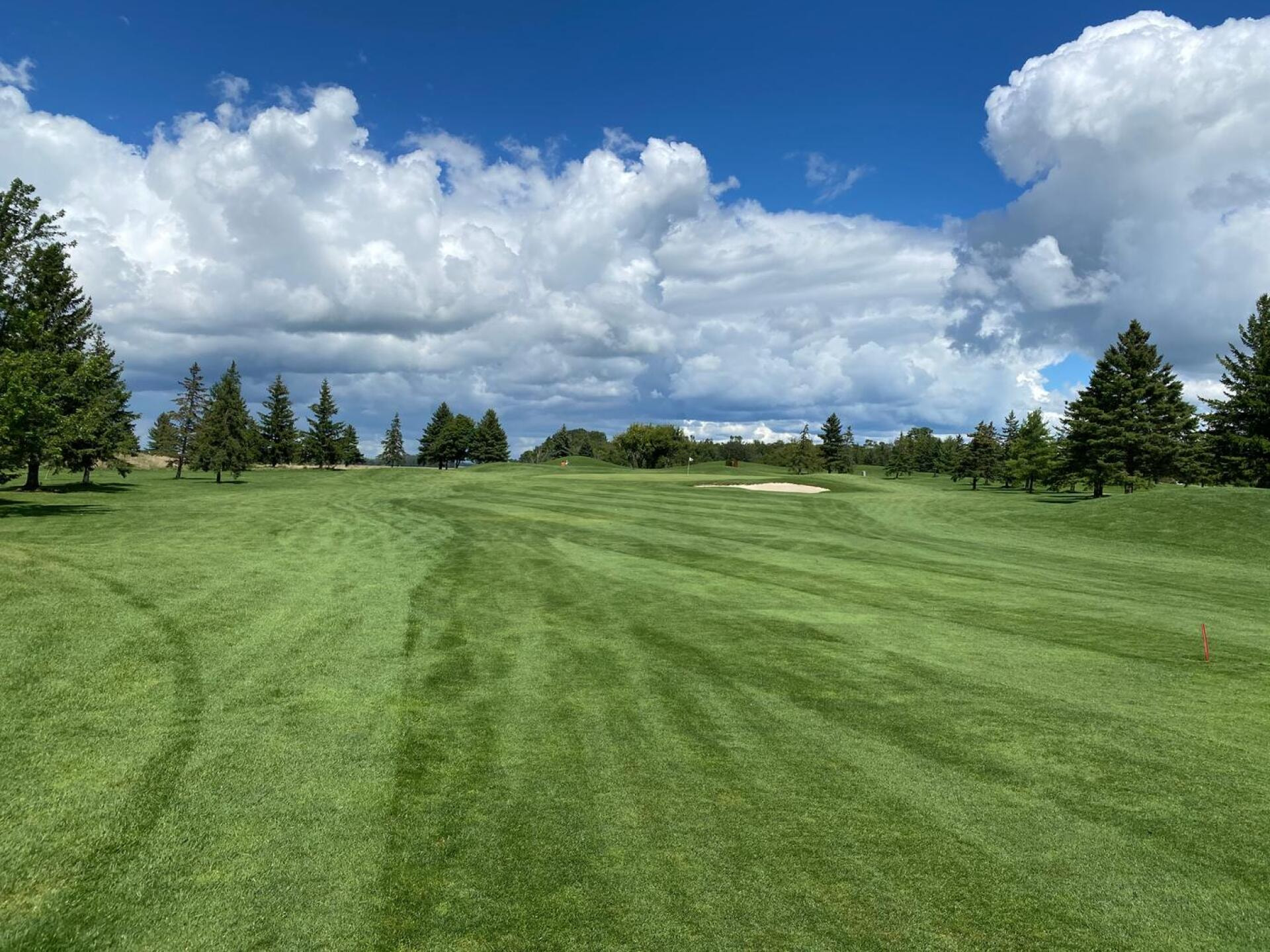 Mitchell Golf & Country Club golf course