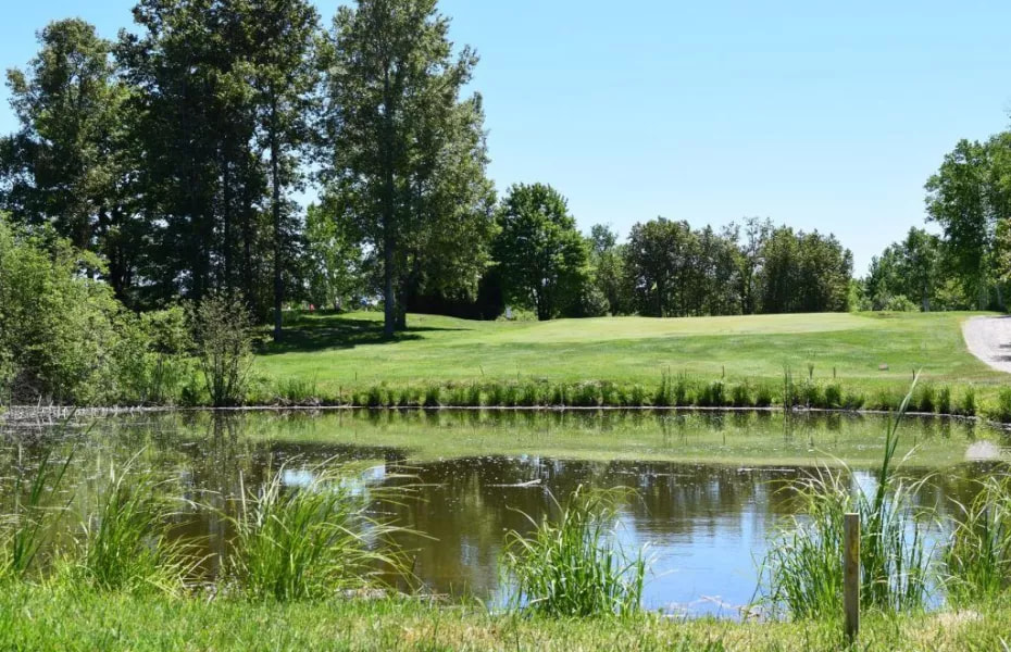 Monte Vista Golf Club golf course