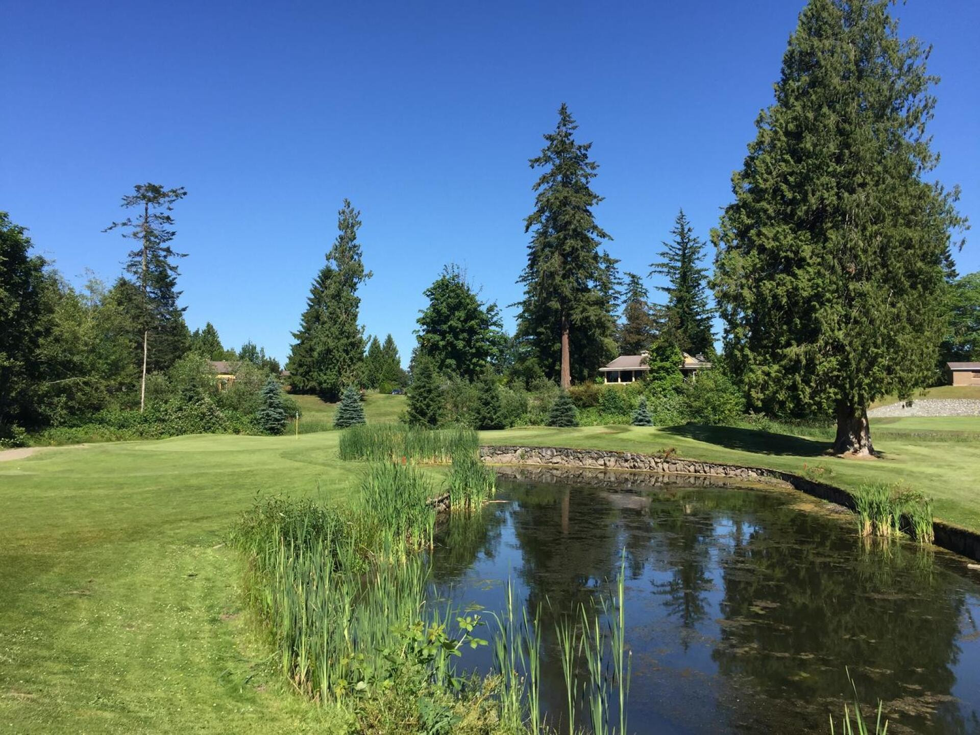 Newlands Golf Club golf course