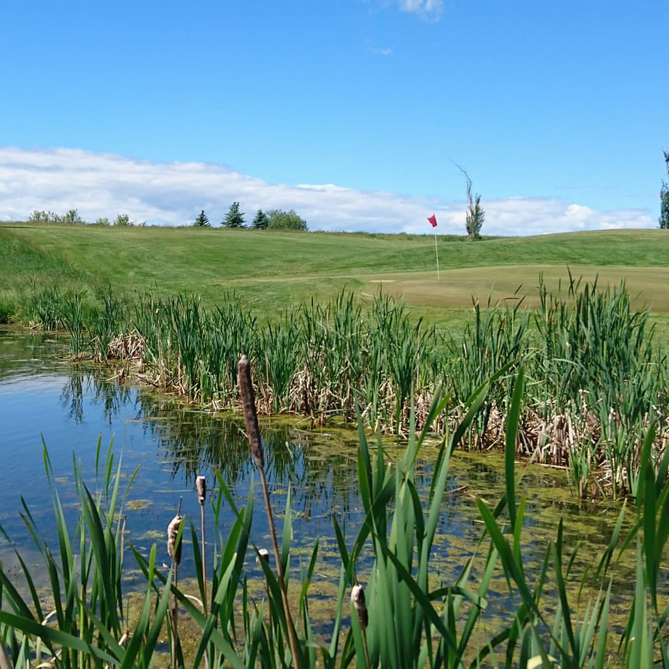 Oxbow Country Golf Course golf course