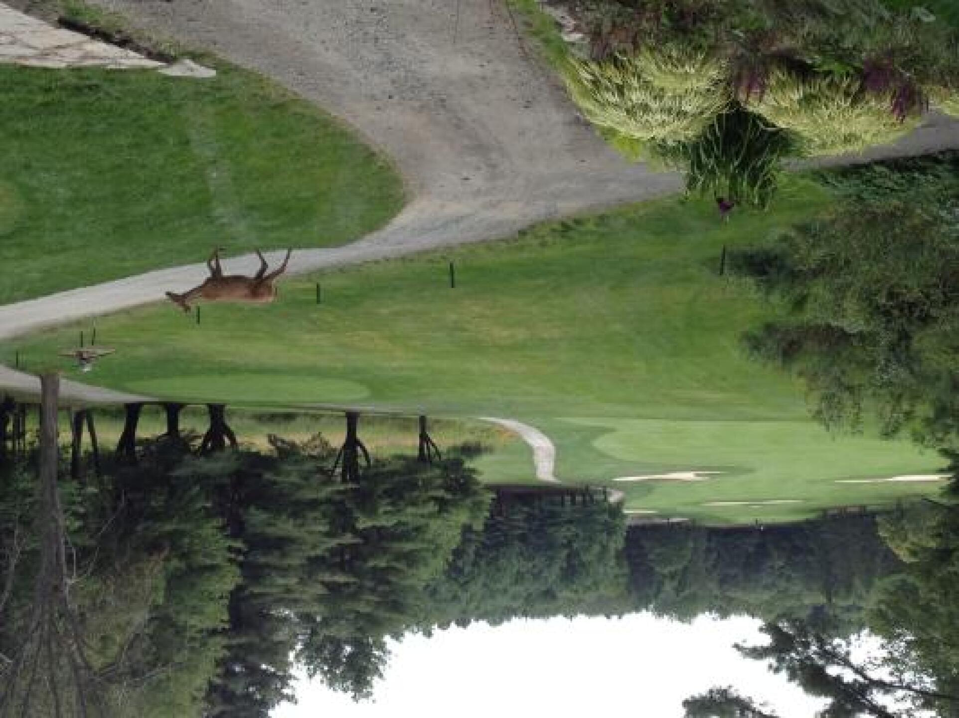 Parry Sound Golf & Country Club golf course