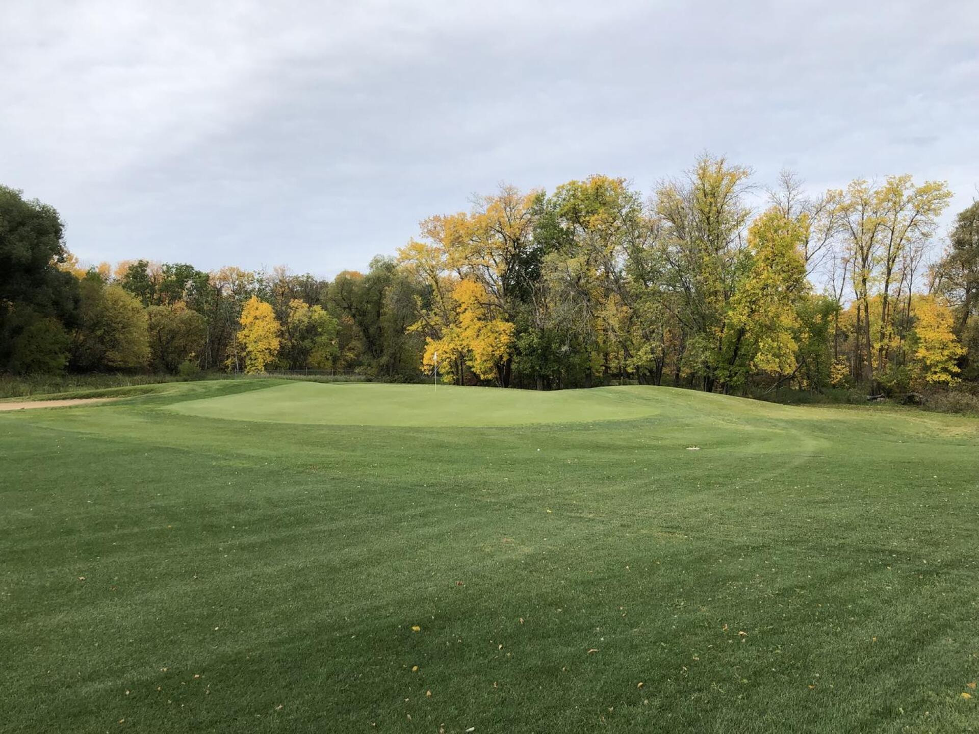 Selkirk Golf & Country Club golf course