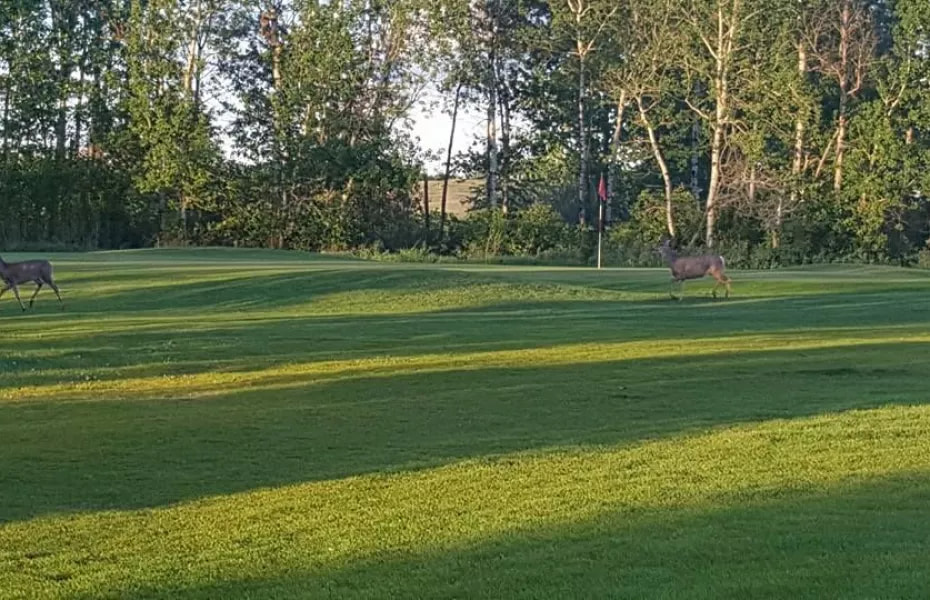 Silver Lake Golf Club golf course