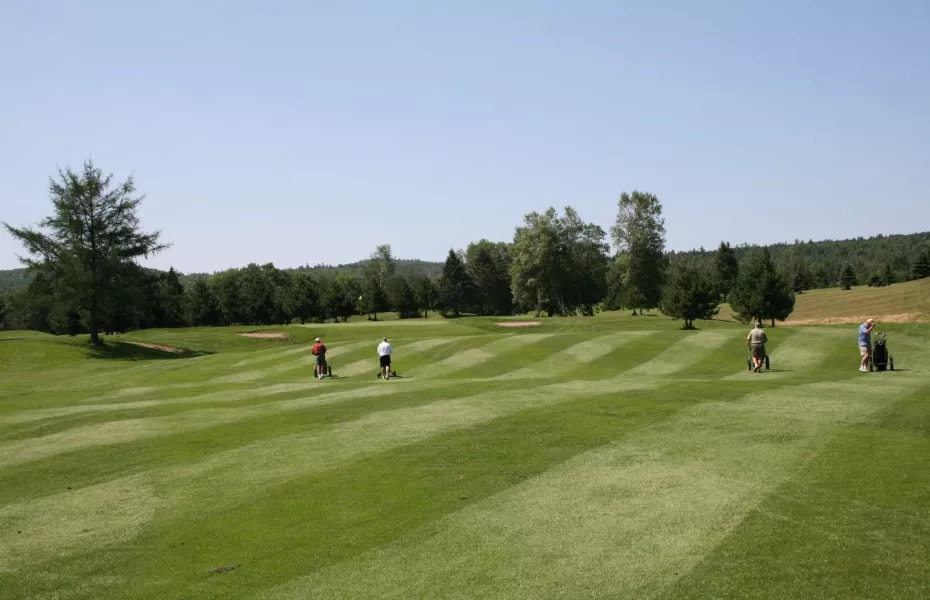 Welsford Golf Club golf course