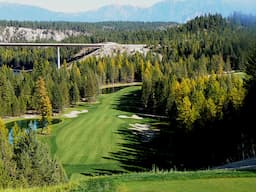 Course Image 4