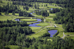 Course Image 3