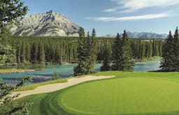 Course Image 4