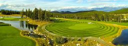 Course Image 3