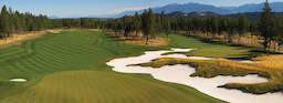 Course Image 4