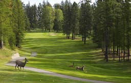 Course Image 5