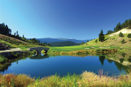 Course Image 4