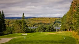 Course Image 1