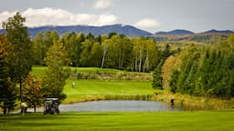 Course Image 4