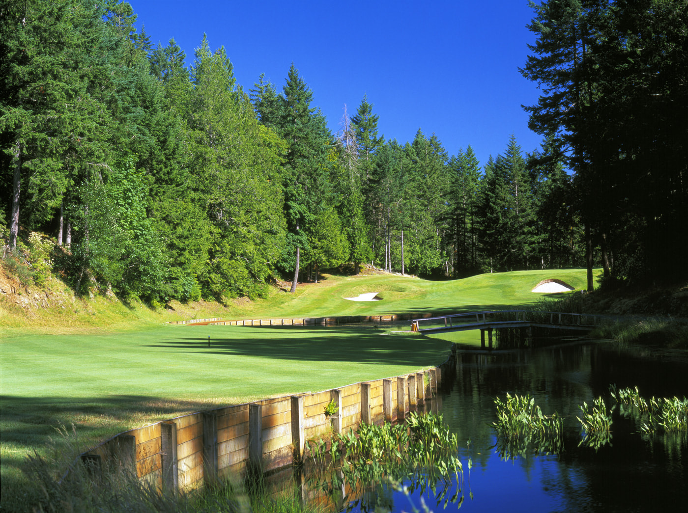 Olympic View Golf Club golf course