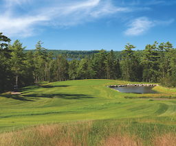 Course Image 3