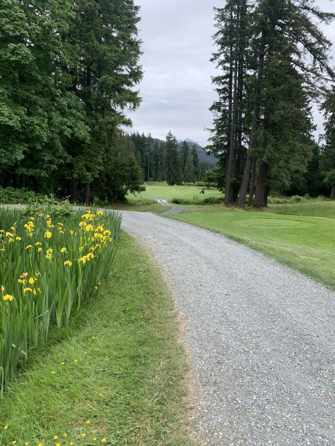 Alberni Golf Club golf course