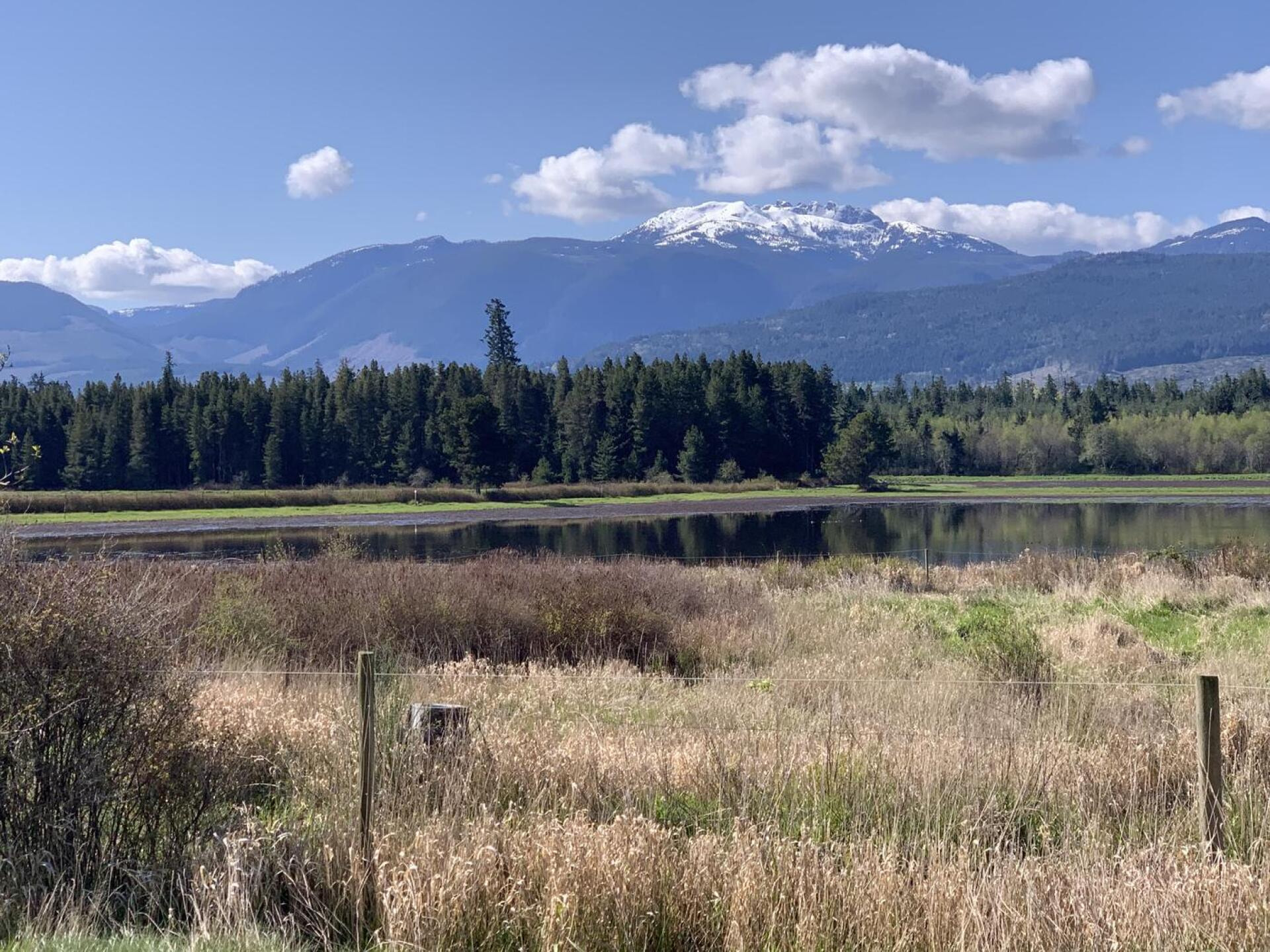 Arrowsmith Golf & Country Club golf course
