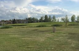 Course Image 1